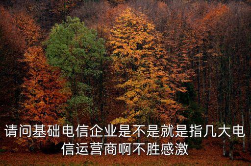 請問基礎電信企業是不是就是指幾大電信運營商啊不勝感激
