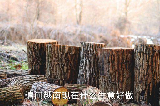 請問越南現在什么生意好做