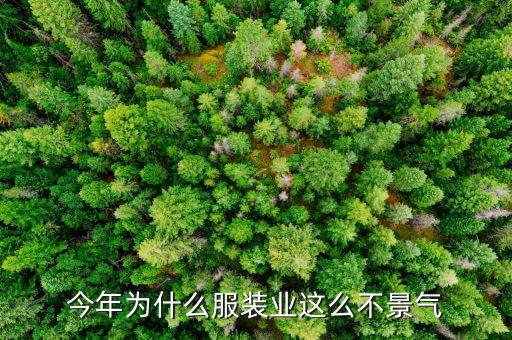服裝業為什么不景氣，現在服裝企業為什么這么不景氣