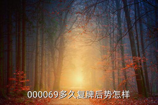 宏達礦業什么時候復牌，000560各位大神知道啥時候復牌