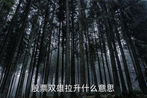 石化雙雄漲停意味著什么，股票雙雄拉升什么意思