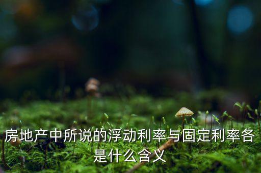 房地產中所說的浮動利率與固定利率各是什么含義