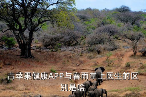 青蘋果健康APP與春雨掌上醫生的區別是啥