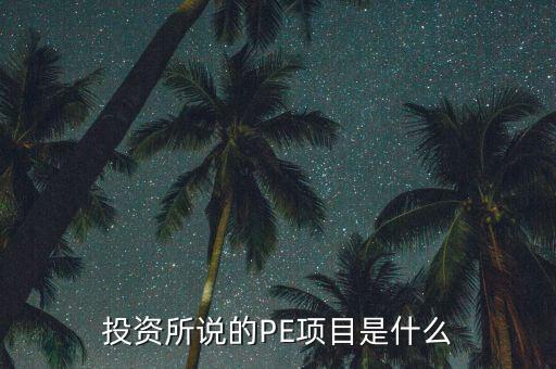 私募基金pe一般看中項(xiàng)目什么，投資所說(shuō)的PE項(xiàng)目是什么