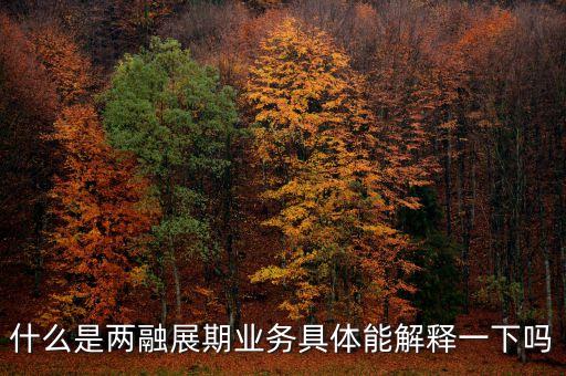 什么是兩融展期業務具體能解釋一下嗎