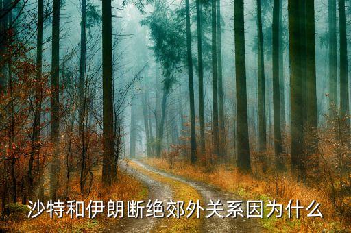 沙特和伊朗斷絕郊外關系因為什么