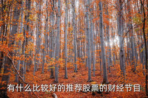 有什么比較好的推薦股票的財經節目