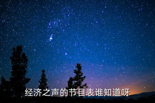 經濟之聲的節目表誰知道呀