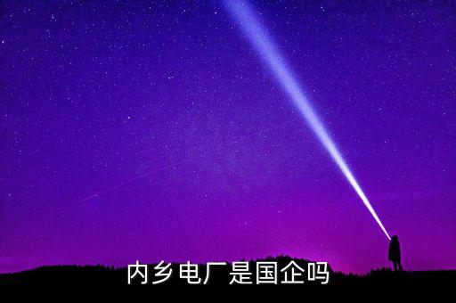 內鄉電廠是國企嗎
