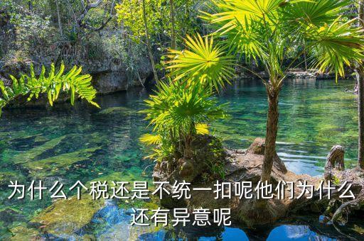個稅為什么盲區，為什么個稅還是不統一扣呢他們為什么還有異意呢