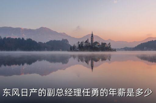 任勇為什么不是東風公司副總，東風日產任勇總經理