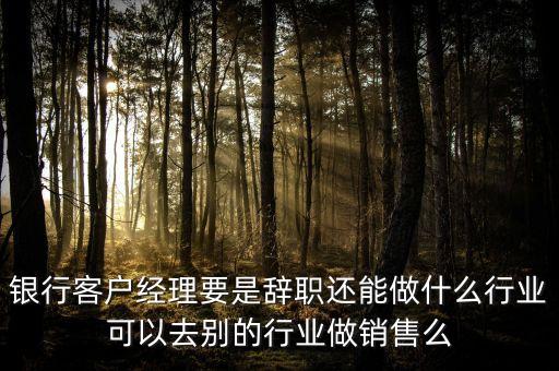 銀行客戶經理要是辭職還能做什么行業可以去別的行業做銷售么