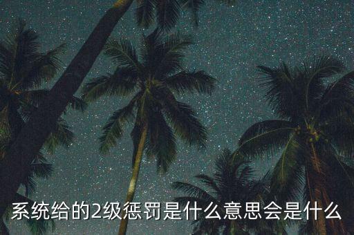 系統給的2級懲罰是什么意思會是什么