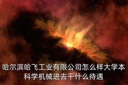 哈爾濱哈飛工業有限公司怎么樣大學本科學機械進去干什么待遇