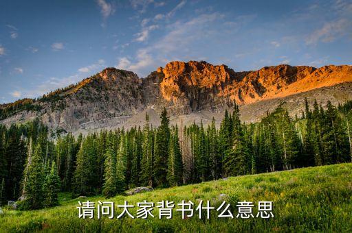 弱背書是什么意思，現在背書是什么意思是能背不能默還是