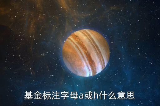 基金中的房地產a卷商a是什么意思，基金標注字母a或h什么意思