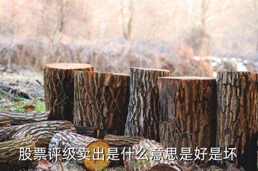 股票沽售評(píng)級(jí)什么意思，請(qǐng)問(wèn)什么是惜售什么是沽售