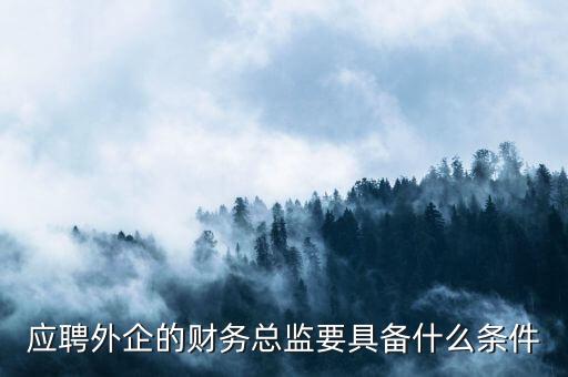 應聘外企的財務總監要具備什么條件