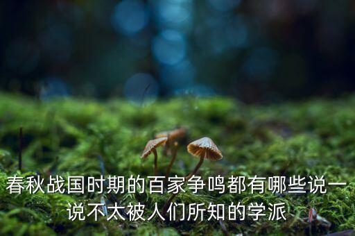 春秋戰國時期的百家爭鳴都有哪些說一說不太被人們所知的學派