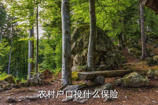 農(nóng)村買的保險(xiǎn)是什么保險(xiǎn)，農(nóng)民需要買什么保險(xiǎn)