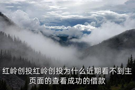 紅嶺創投紅嶺創投為什么近期看不到主頁面的查看成功的借款
