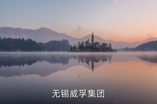 無錫威孚集團(tuán)