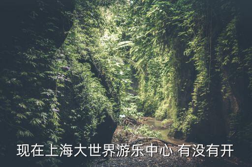 現在上海大世界游樂中心 有沒有開