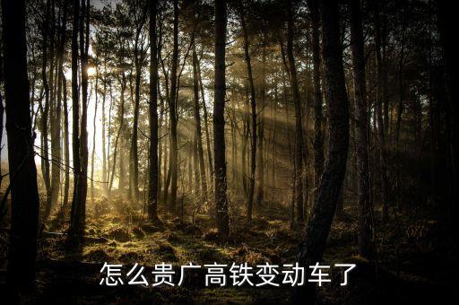 高鐵什么時候變動車，怎么貴廣高鐵變動車了