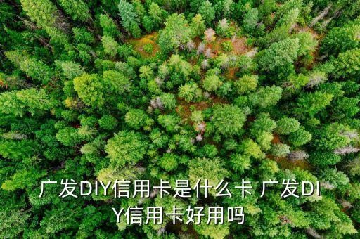 什么是diy信用卡，廣發DIY信用卡是什么卡 廣發DIY信用卡好用嗎