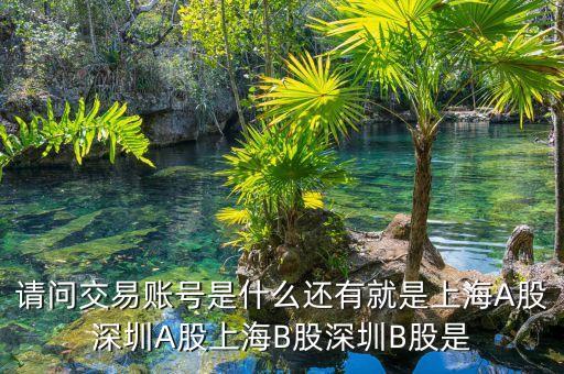 股東賬號(hào)是什么，請(qǐng)問交易賬號(hào)是什么還有就是上海A股深圳A股上海B股深圳B股是