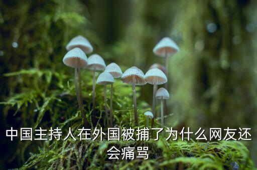 國網魏慶海出什么事了，中國主持人在外國被捕了為什么網友還會痛罵