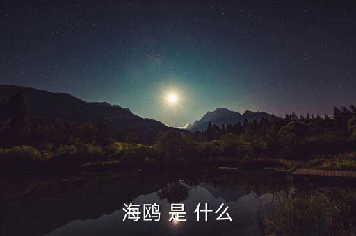 海鷗和石墨是什么關系，MAURICE BLUM品牌和海鷗有什么關系