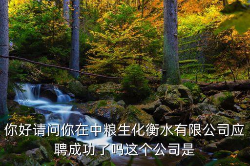 你好請問你在中糧生化衡水有限公司應聘成功了嗎這個公司是