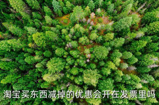 網店為什么貨票不同行，為什么網店賣的東西不能和發票一同送來