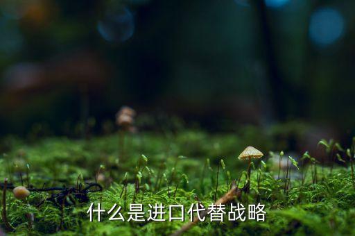什么是進口代替戰略