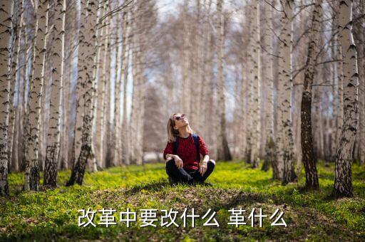 你認為我國改革的重心應是什么改，我國改革的任務決定了改革應是 A 經濟體制的改革 B 政治體制的改革