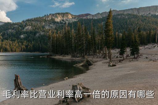 毛利率比營業利率高一倍的原因有哪些