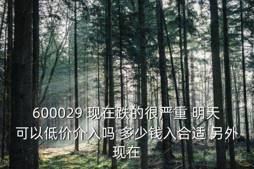 粵傳媒今天什么跌這么厲害，600029 現在跌的很嚴重 明天可以低價介入嗎 多少錢入合適 另外現在