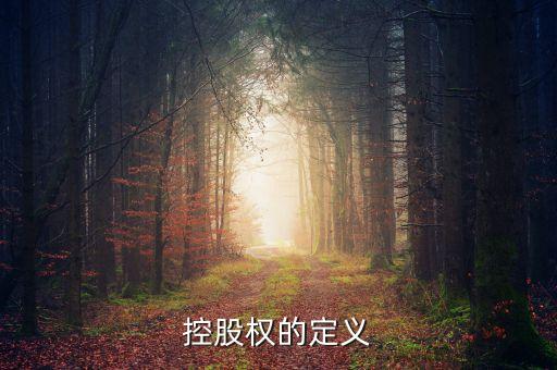 控股權的定義
