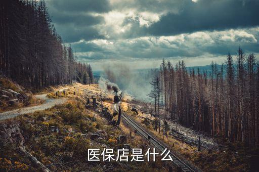 醫保店是什么