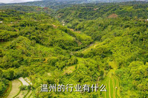 溫州的行業有什么
