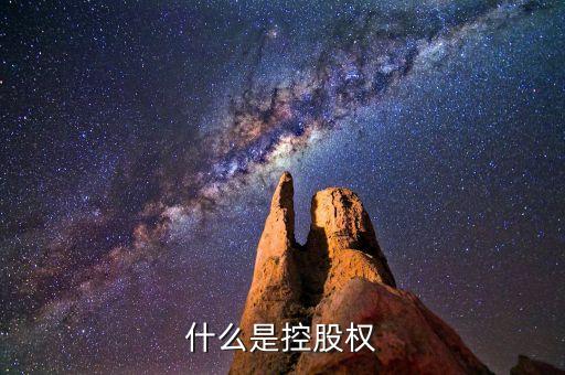 什么是控股權