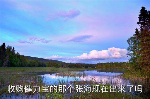 健力寶什么時候賣給張海，收購健力寶的那個張海現在出來了嗎