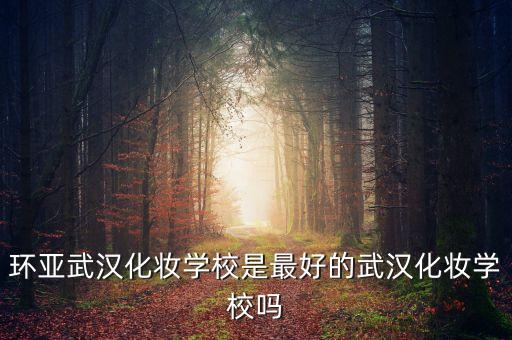 環亞武漢化妝學校是最好的武漢化妝學校嗎
