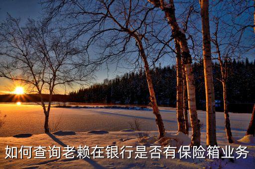 如何查詢老賴在銀行是否有保險箱業務