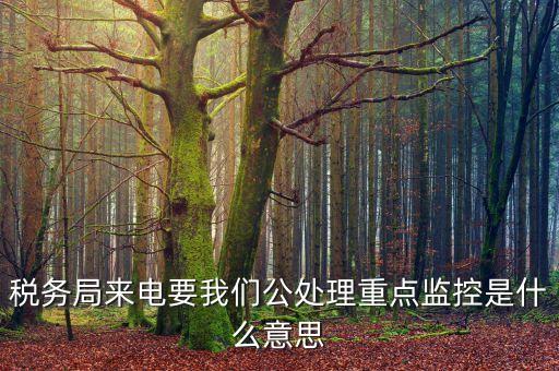 稅務局來電要我們公處理重點監控是什么意思