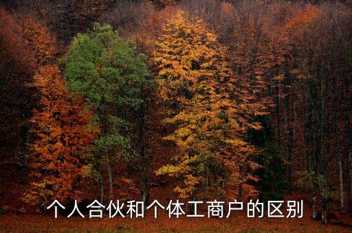 個人合伙領取什么經營執照，個人合伙辦理個體工商戶執照