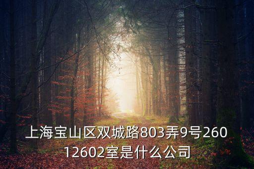 上海柏智方德是什么公司，上海寶山區雙城路803弄9號26012602室是什么公司