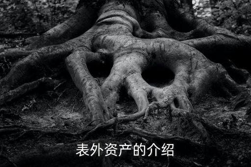 什么是表外資金，表外資產的介紹