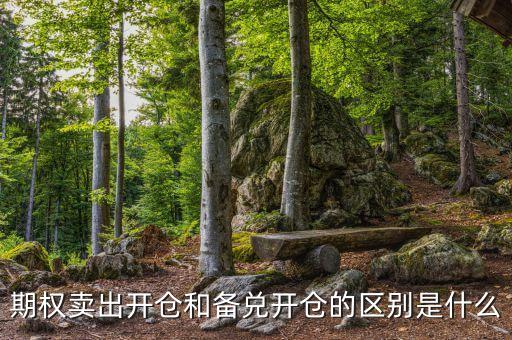 期權賣出開倉和備兌開倉的區別是什么